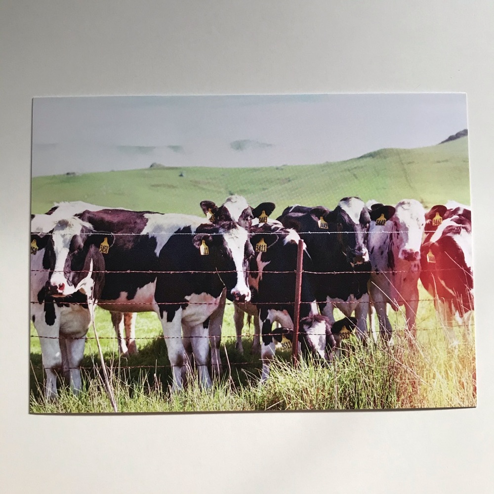 I Sell Photography Art Prints - Picture 3 of 16
